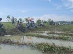 Caleg DPR RI Dapil Jabar X Rokhmat Ardiyan Menampilkan Suara Menarik Melalui Mancing Mania di Pangandaran