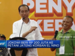 Jokowi Salurkan Bantuan Rp 200 Juta kepada Petani di Jateng yang Terdampak El Nino