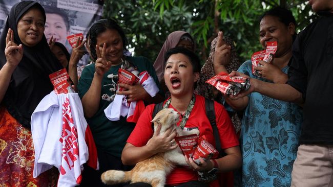 Caleg Mendapat Perhatian Media Asing karena Bawa Kucing Saat Kampanye