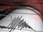 Papua Barat Dilanda Gempa Berkekuatan 5,2 SK, Berikut Penjelasan dari BMKG