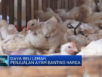 Daya Beli Lemah, Penjualan Ayam Terjun Harga