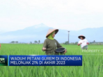 Oh tidak! Jumlah Petani Gurem di Indonesia Meningkat 21% pada Akhir 2023