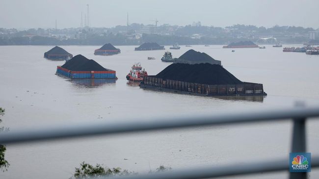 Batu Arang: RI Mendapatkan Anggaran Rp 540,6 Triliun dari Durian Runtuh