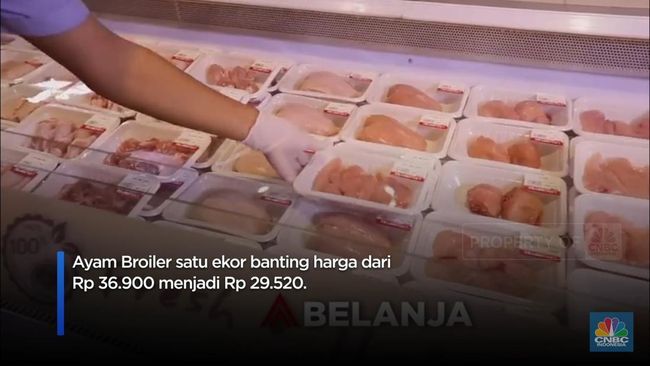 serbu-ayam-broiler-di-transmart-potong-harga-1746879448482_169.jpeg