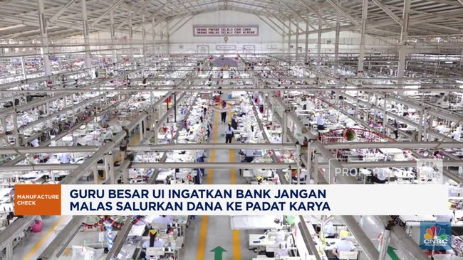 ekonom-ingatkan-bank-jangan-malas-salurkan-dana-ke-padat-karya-1750077554977_169.png