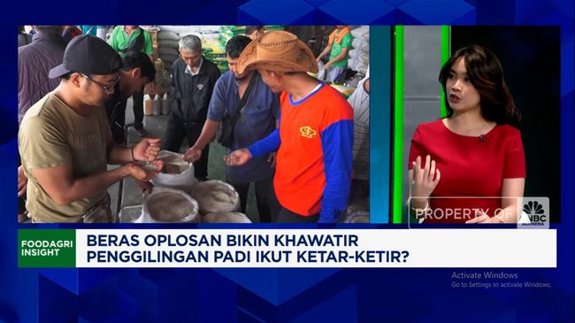 biang-kerok-harga-beras-naik-saat-stok-melimpahcnbc-indonesia-tv-1755150272850_169.png