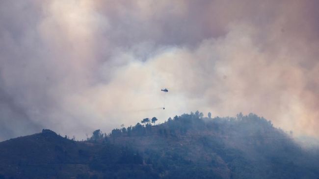 europe-weatherspain-wildfire-1755692863543_169.jpeg