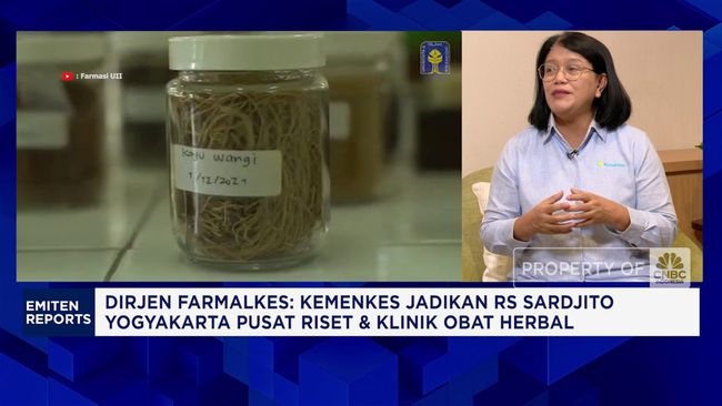 obat-herbal-jadi-prioritas-pemerintah-siapkan-inisiatif-baru-1754298127775_169.png